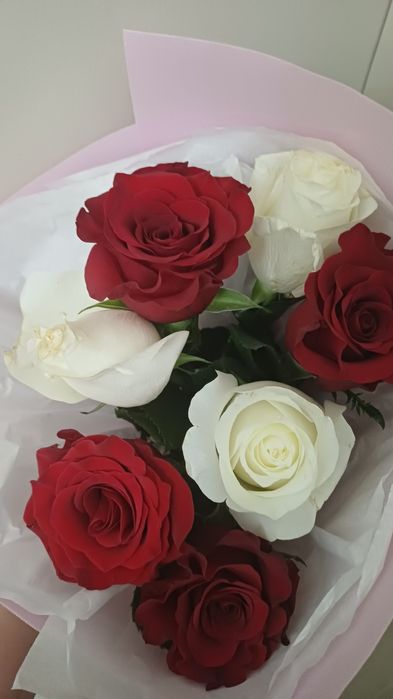 Жаңа алынған роза букеті.  7шт.