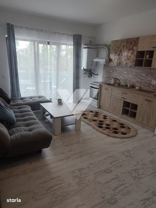 Apartament cu 2 camere, complet mobilat de inchiriat pe Doamna Stanca,