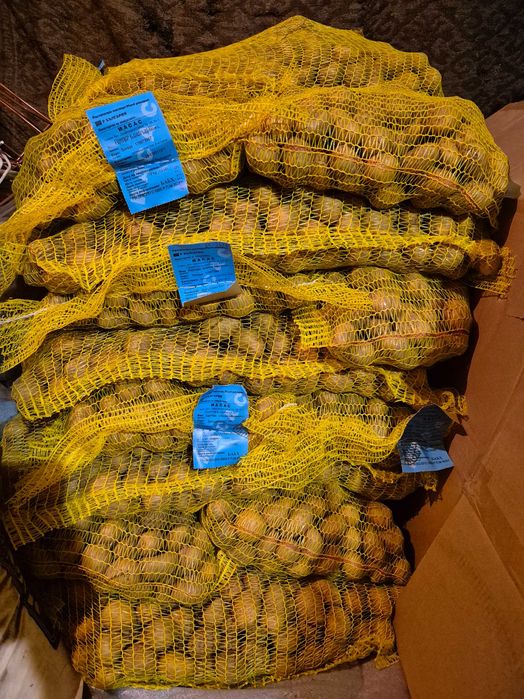 Сертифицирано семе картофи.Агата и Сорая. В чували по 10кг.