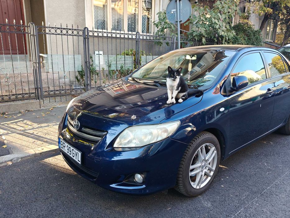 TOYOTA Corolla 2007 — imagine 2