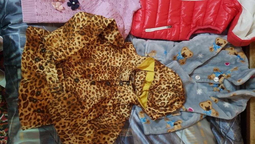 Для девочки верхняя одежда