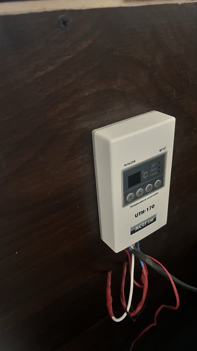 Продается собака боксер и бутка