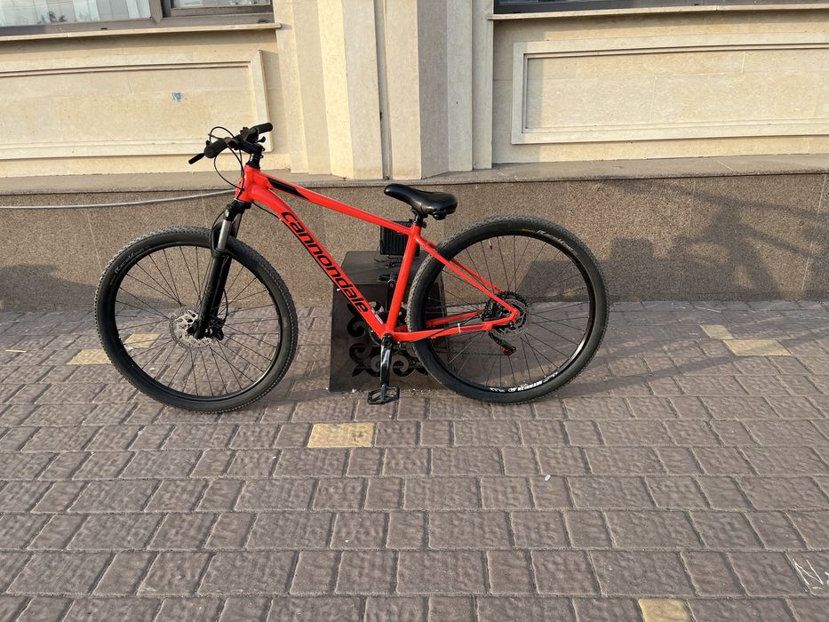 Cannondale Trail 5 (M)