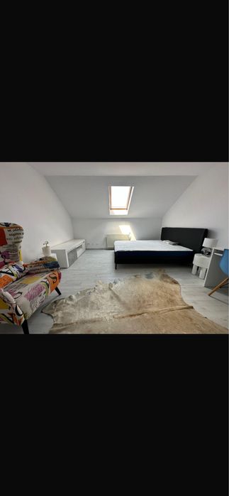 Vand ap 1 camera Frunzisului