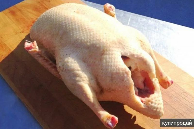 Продажа гусей тушами !!!