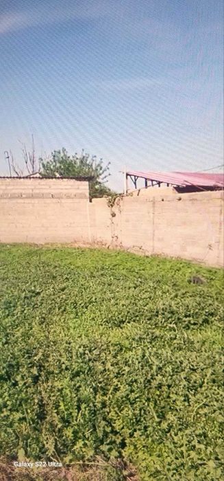 Дача племсовхоз 6 сотых 30000уе савдоси бор