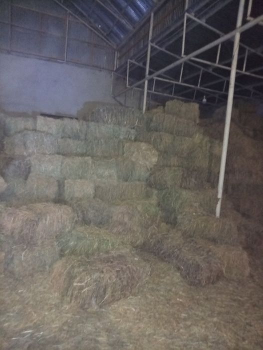 Беда пресс сотилади 1 метрлик