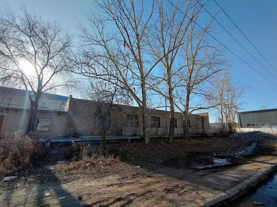 Обрезка, Сруб, Спил 5 тыс цена.