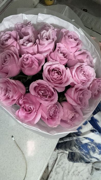 19шт роза сатылады