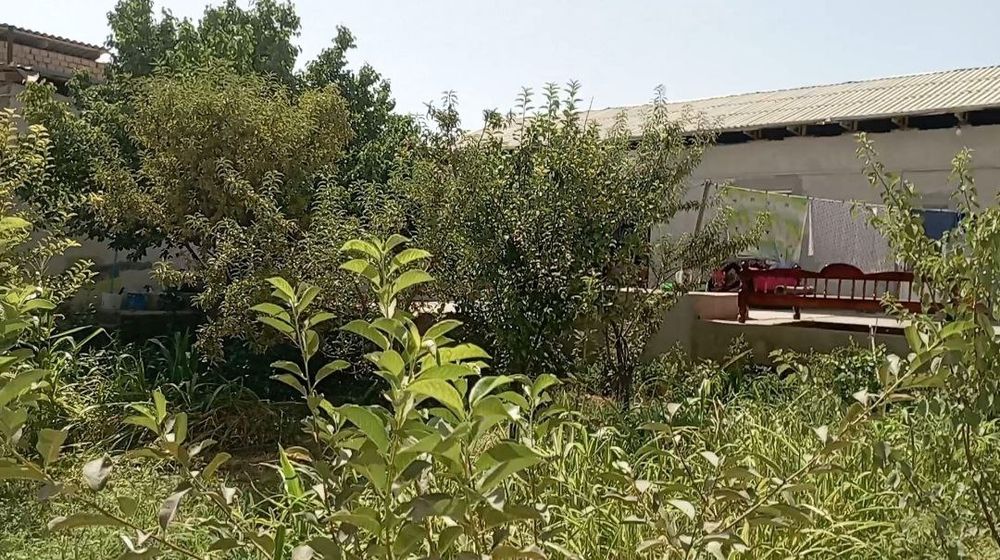 Карши шахар Бустон махалласидан 6 сутухли уй СОТИЛАДИ!