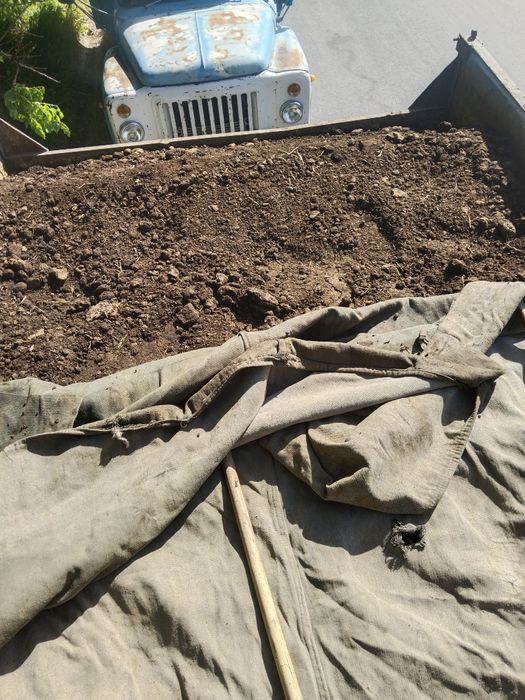 Gong mol Qoʻy gonglari