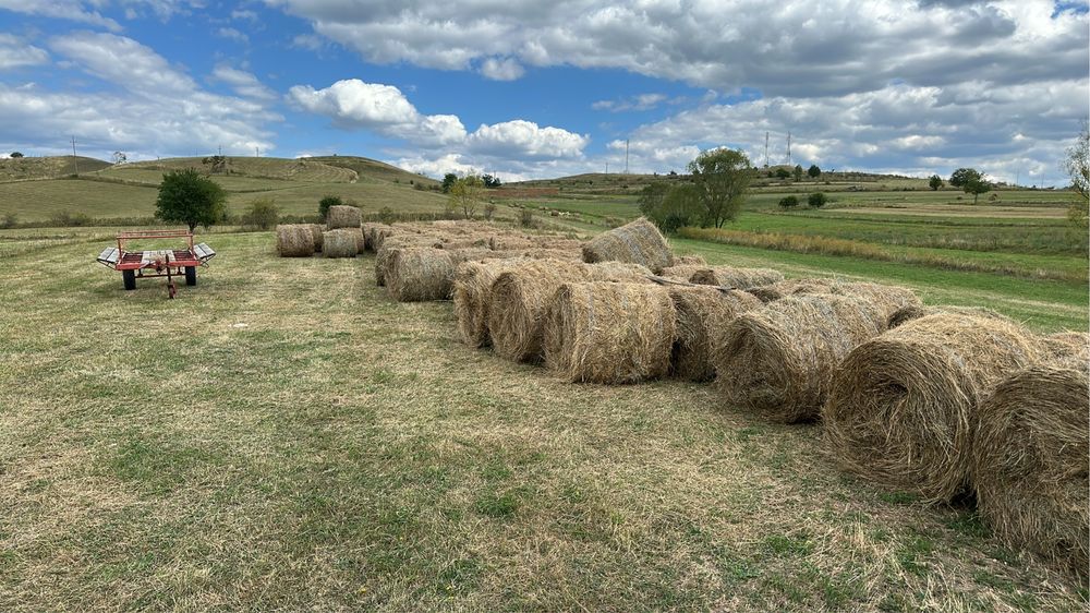 Baloti fan rotunzi 120x120