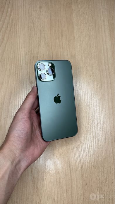 iPhone 13 Pro Max ideal