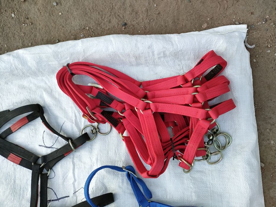 Продам новый недоуздок усиленые