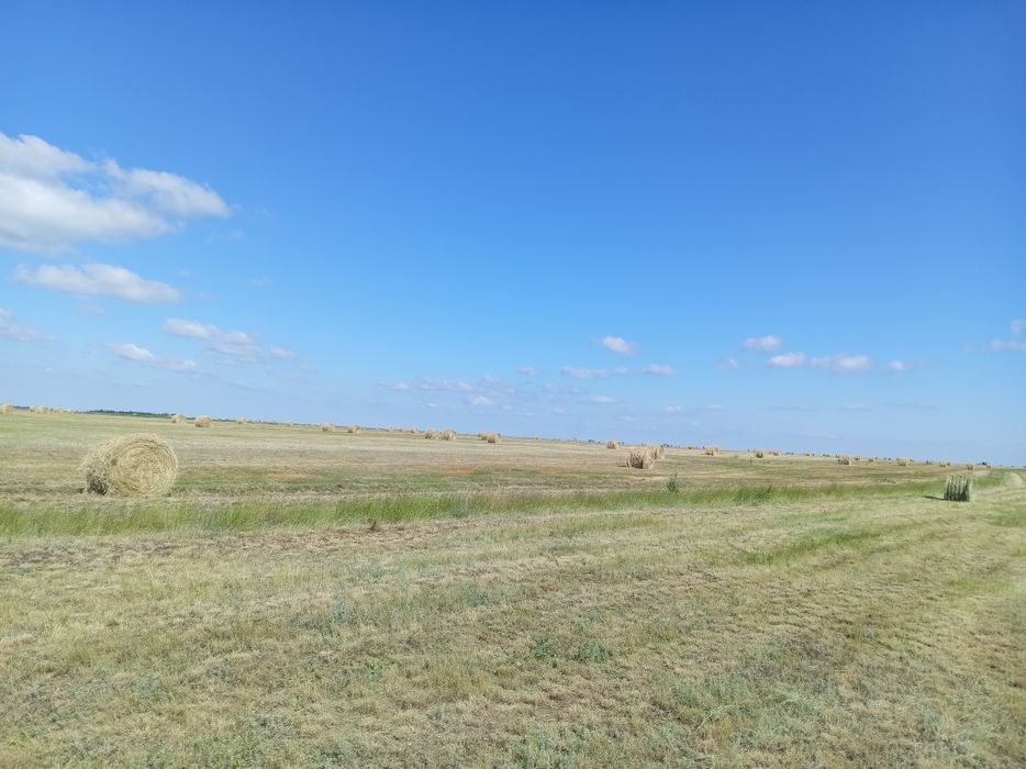 Продам сено степное