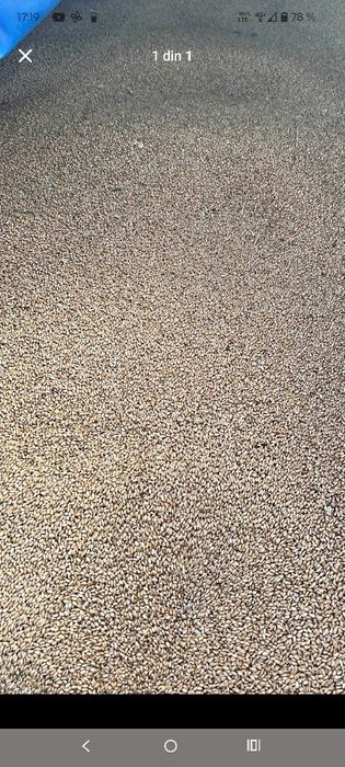 10 tone grau 1,1kg