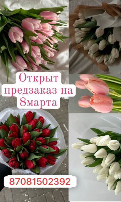 Тюльпаны на 8 марта