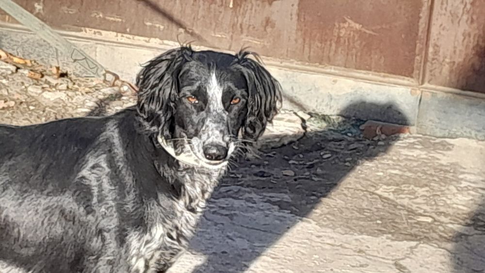 Продам тазы кабеля .Рабочий