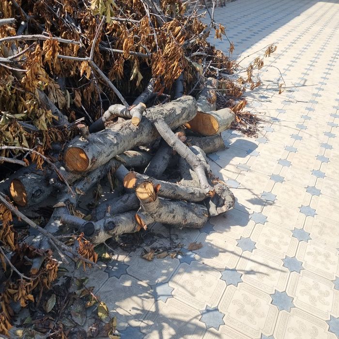 Дрова, O'tin, Хезум