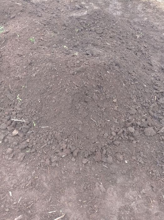 Tabiiy chim va ajriq