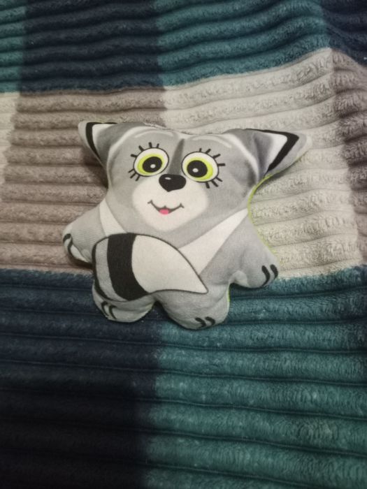 Енот из мема успогойся