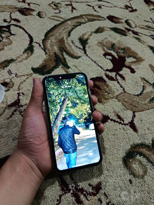 iPhone 11 feyalite