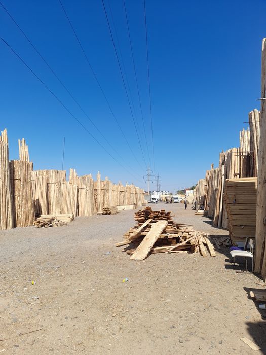 Tere to'sin mahsulotlari