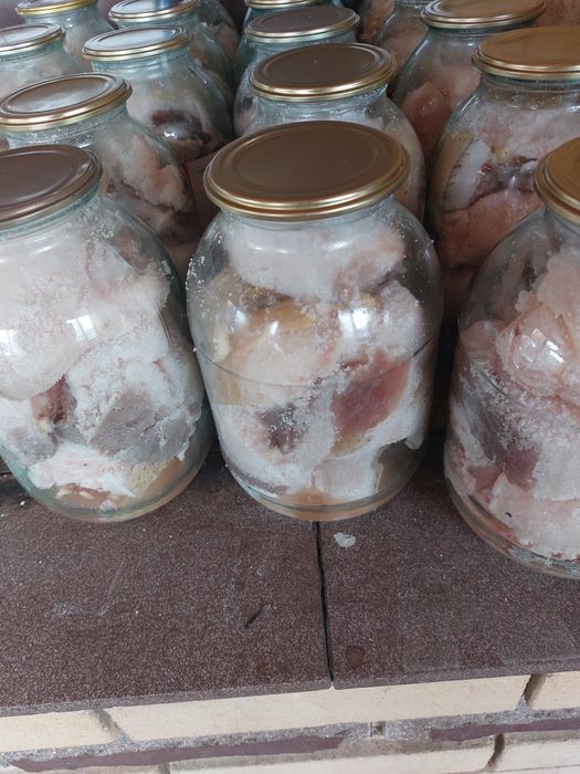 Сало свиное продам