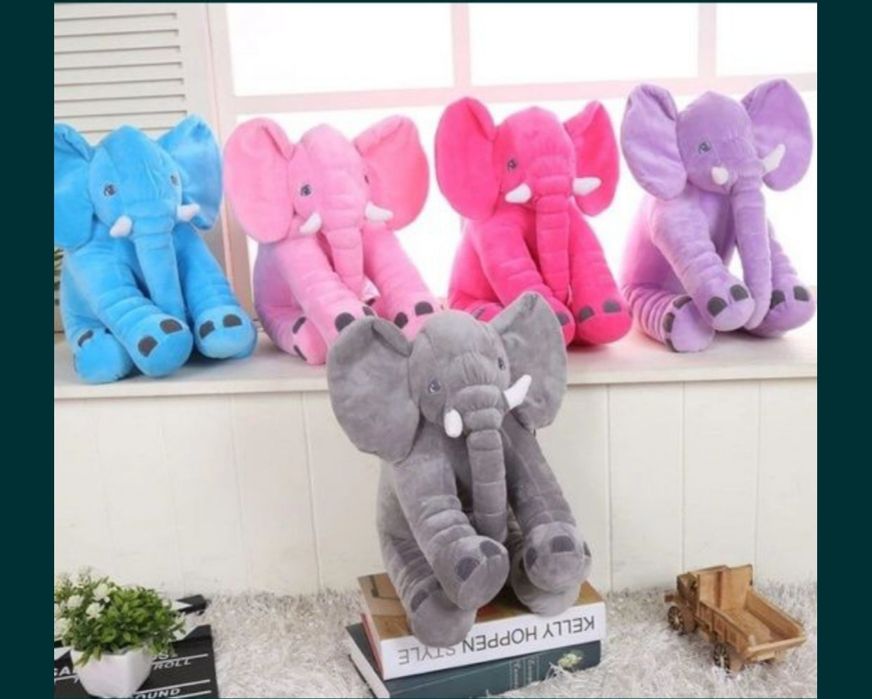 Fil + adyal arzon narxda