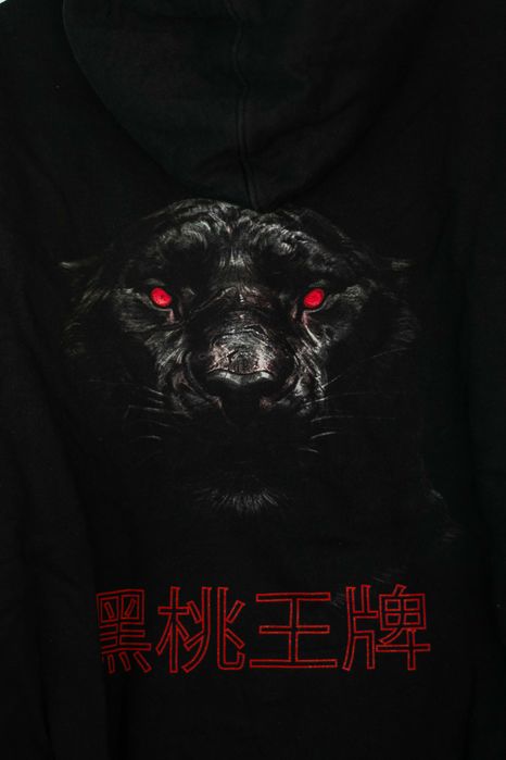 Alexander Spade hoodie Asia project