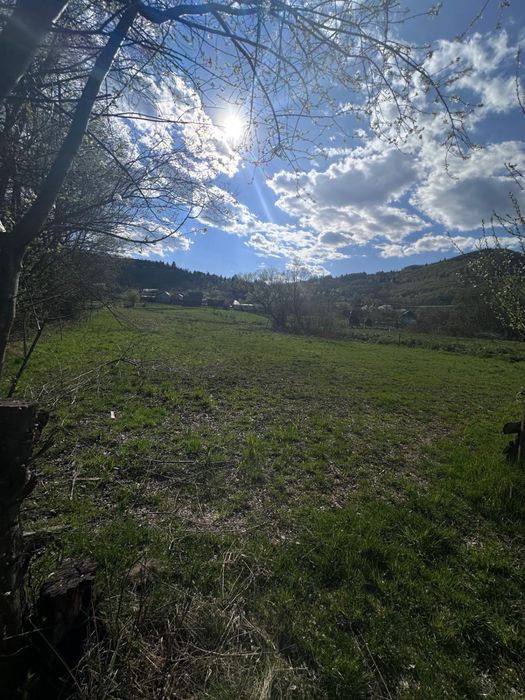 Teren Itravilan  Com Lupsa sat Hadarau