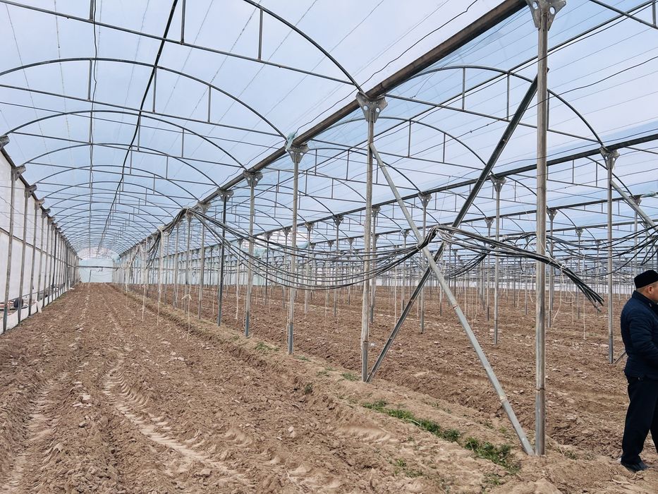 Issiqxona atsenkoviniy quramiz (парник)