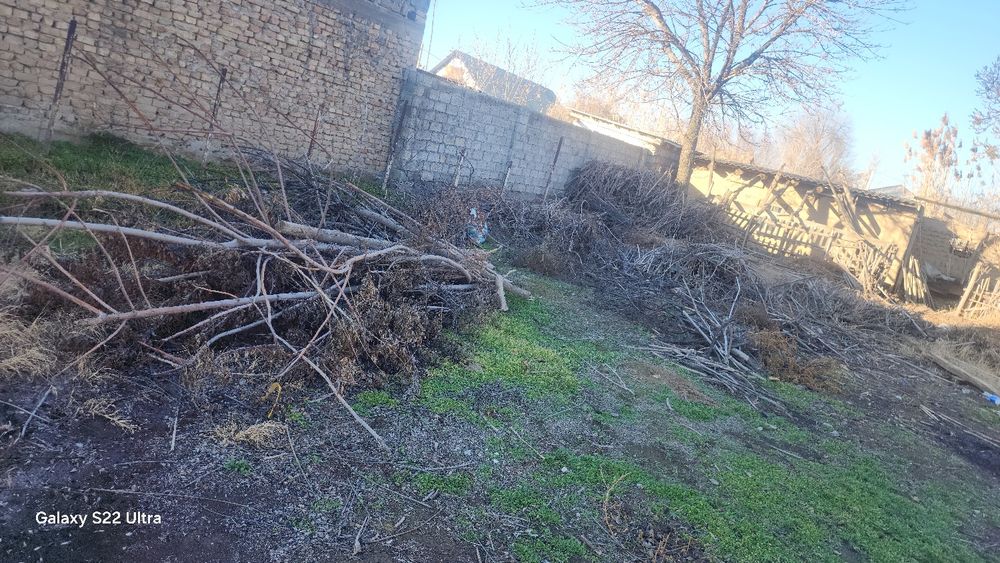 O‘tin sotiladi дерева