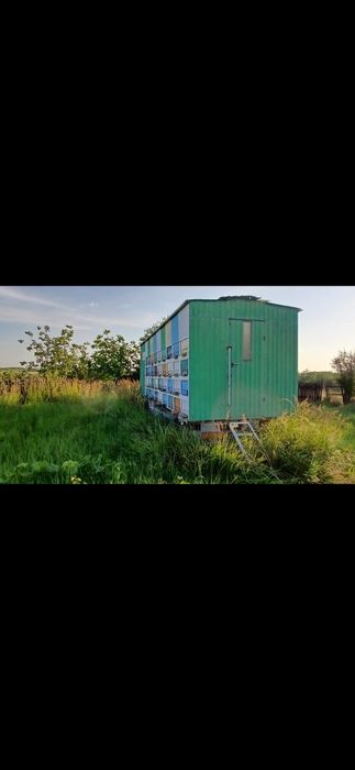 Vand pavilion apicol omologat