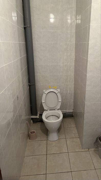 Квартираға 1 қыз керек