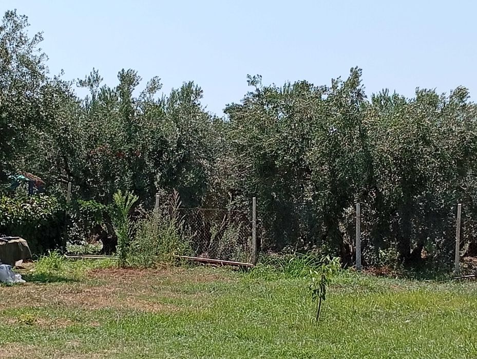 Място за каравана в Кариани -1600 евро.