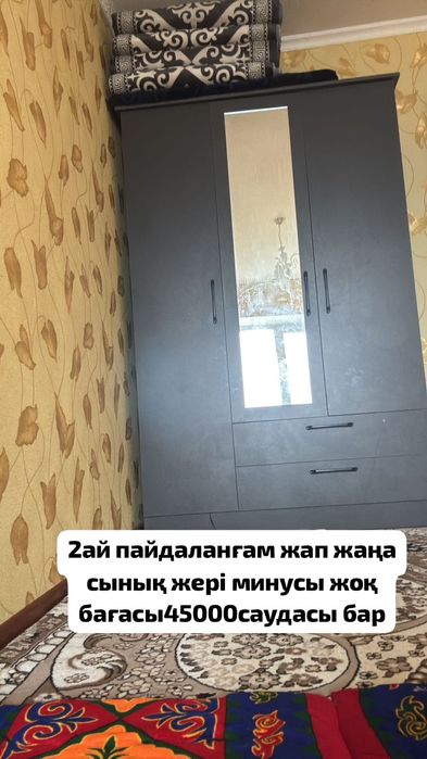 серый түсті шкаф