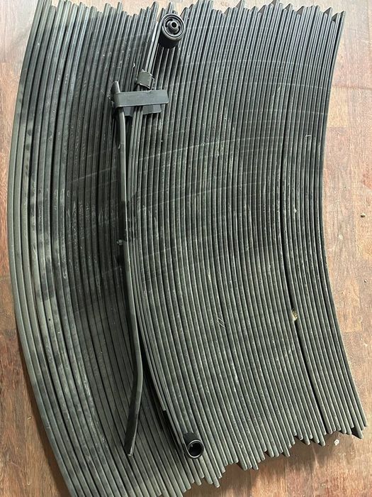 Damaz, labo orqa zbor risor