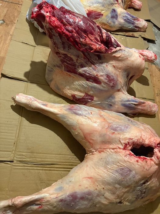 ет-мясо( конина)