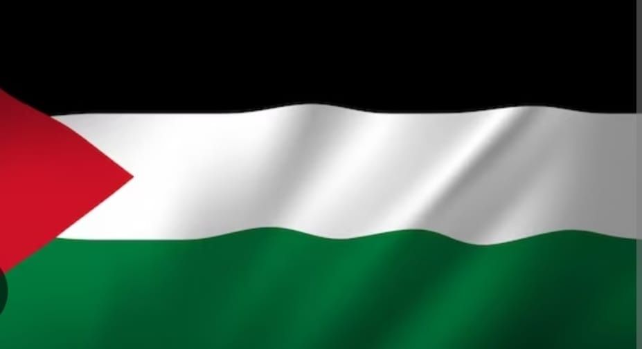 Флаг Палестины большой