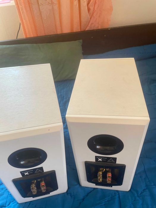 Boxe de raft Dynavoice Definition DM-6 de culoare albă