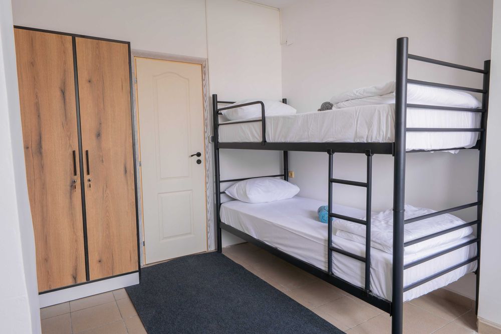 Дава под наем стая