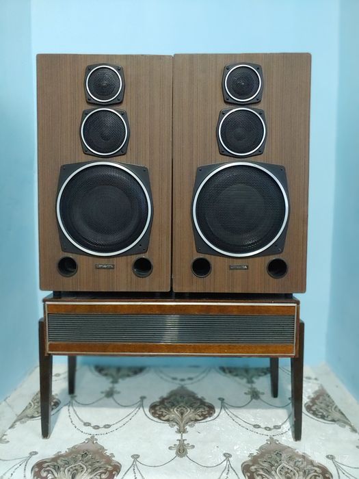 orbita         016
