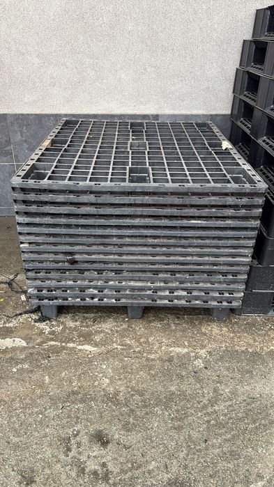 Palet din lemn şi plastic