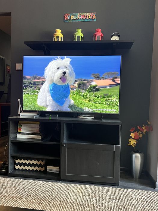 Секция за телевизор