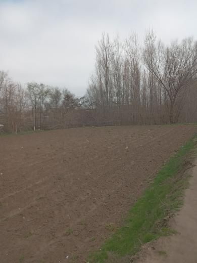 Yer sotiladi 14 sotix