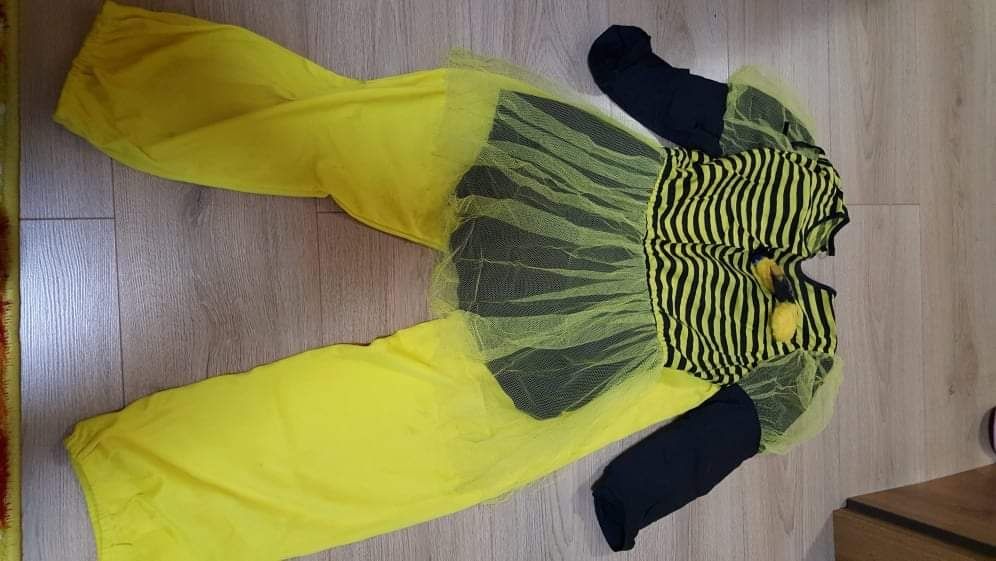 Costumas carnaval Albinuta