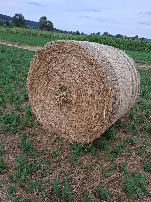 Baloți de vânzare coasa a două