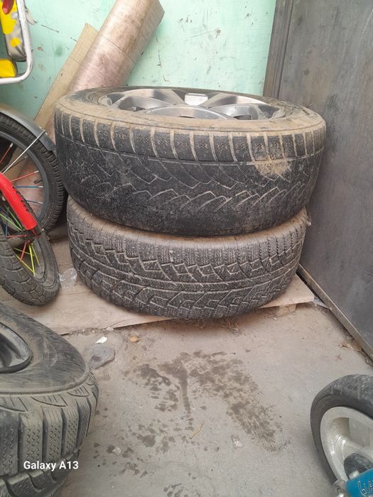 Зимни ризин с титанкои