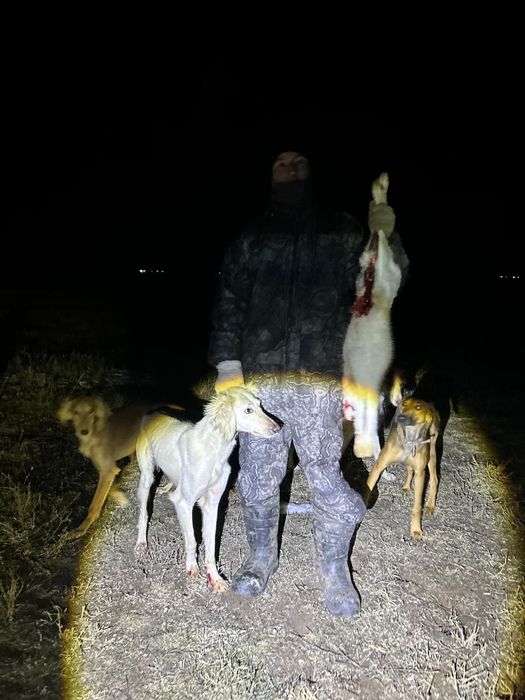 Продам тазы кумай